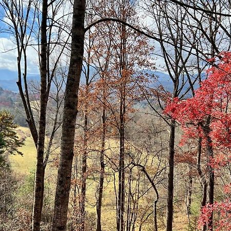 Misty Mountain Cottage Waynesville Εξωτερικό φωτογραφία