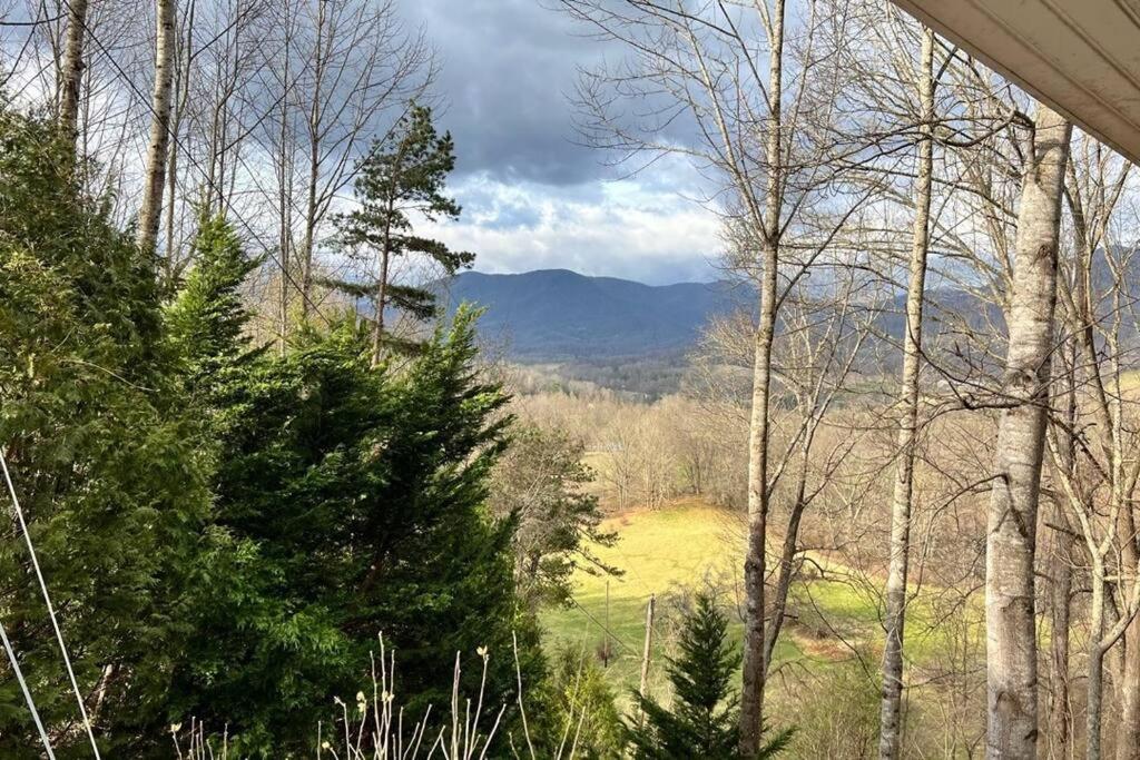 Misty Mountain Cottage Waynesville Εξωτερικό φωτογραφία
